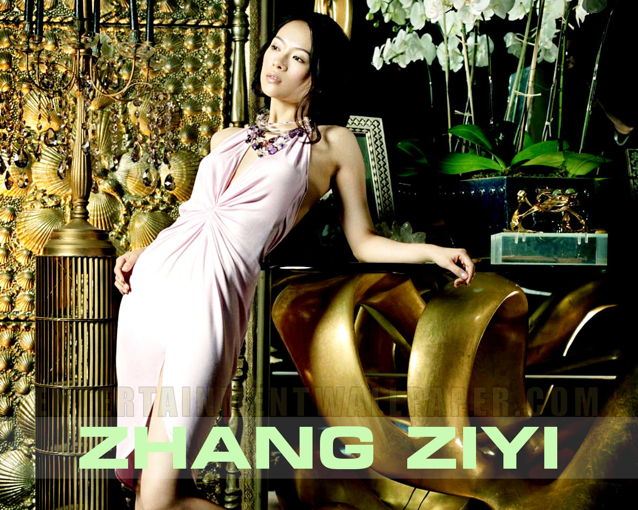 Zhang Ziyi - Zhang Ziyi Wallpaper (34510248) - Fanpop