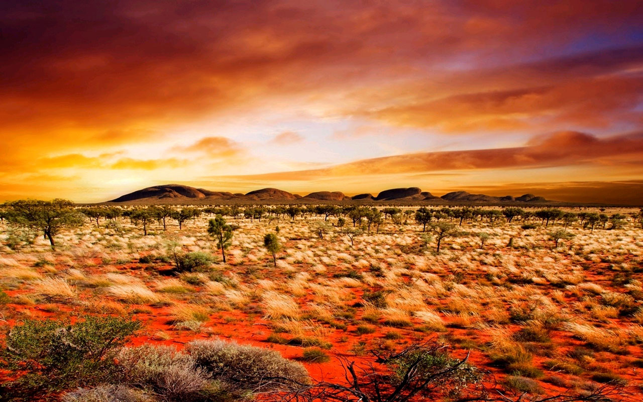 Desolate desert scenery Desktop Wallpaper 12 Landscape