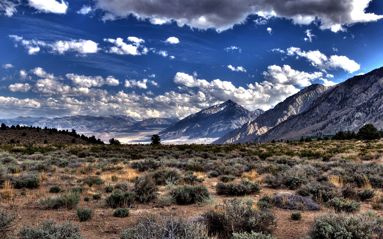 Desolate desert scenery Desktop Wallpaper 6 － Landscape ...