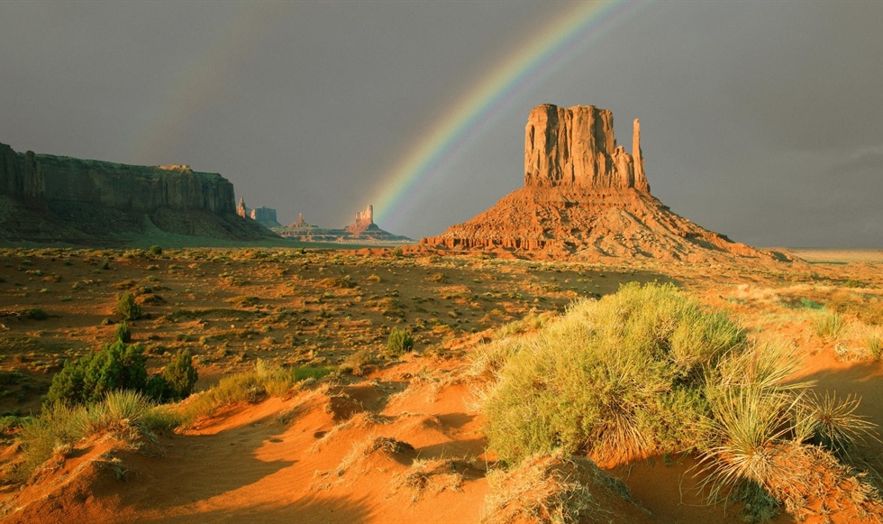 Texas Desert Rainbow And Plants Scenery desktop wallpaper ...