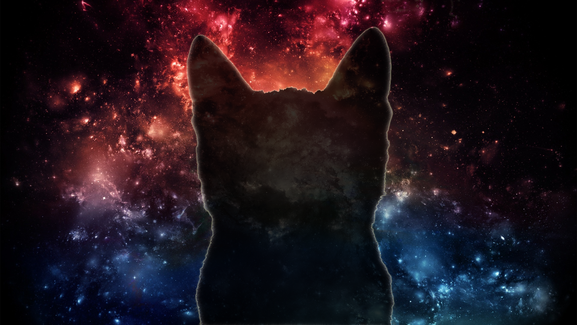 Space Cat [1920x1080] : wallpapers