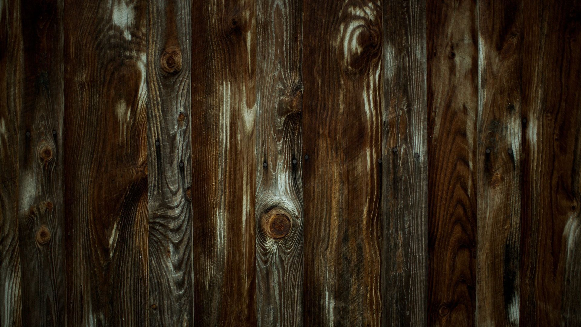 Download Wallpaper 1920x1080 Wood, Timber, Wall, Texture Full HD ...