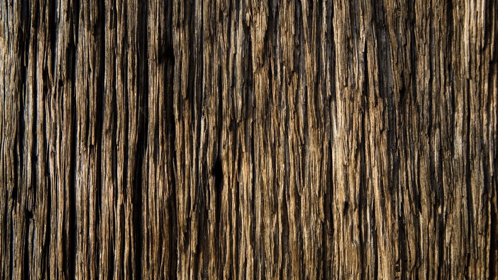 Download Wallpaper 1920x1080 Bark, Wood, Background, Texture Full ...