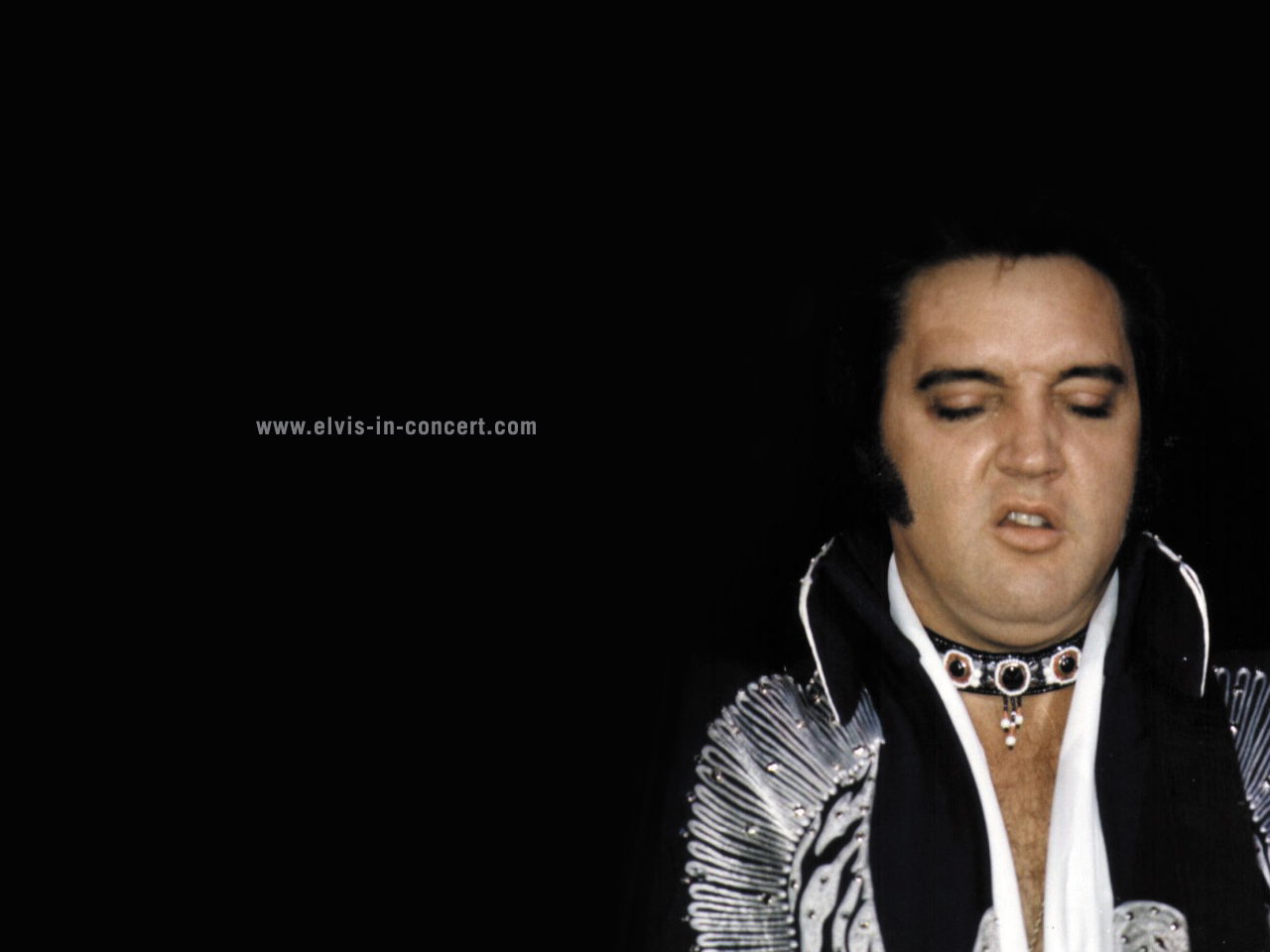 Elvis in concert.com