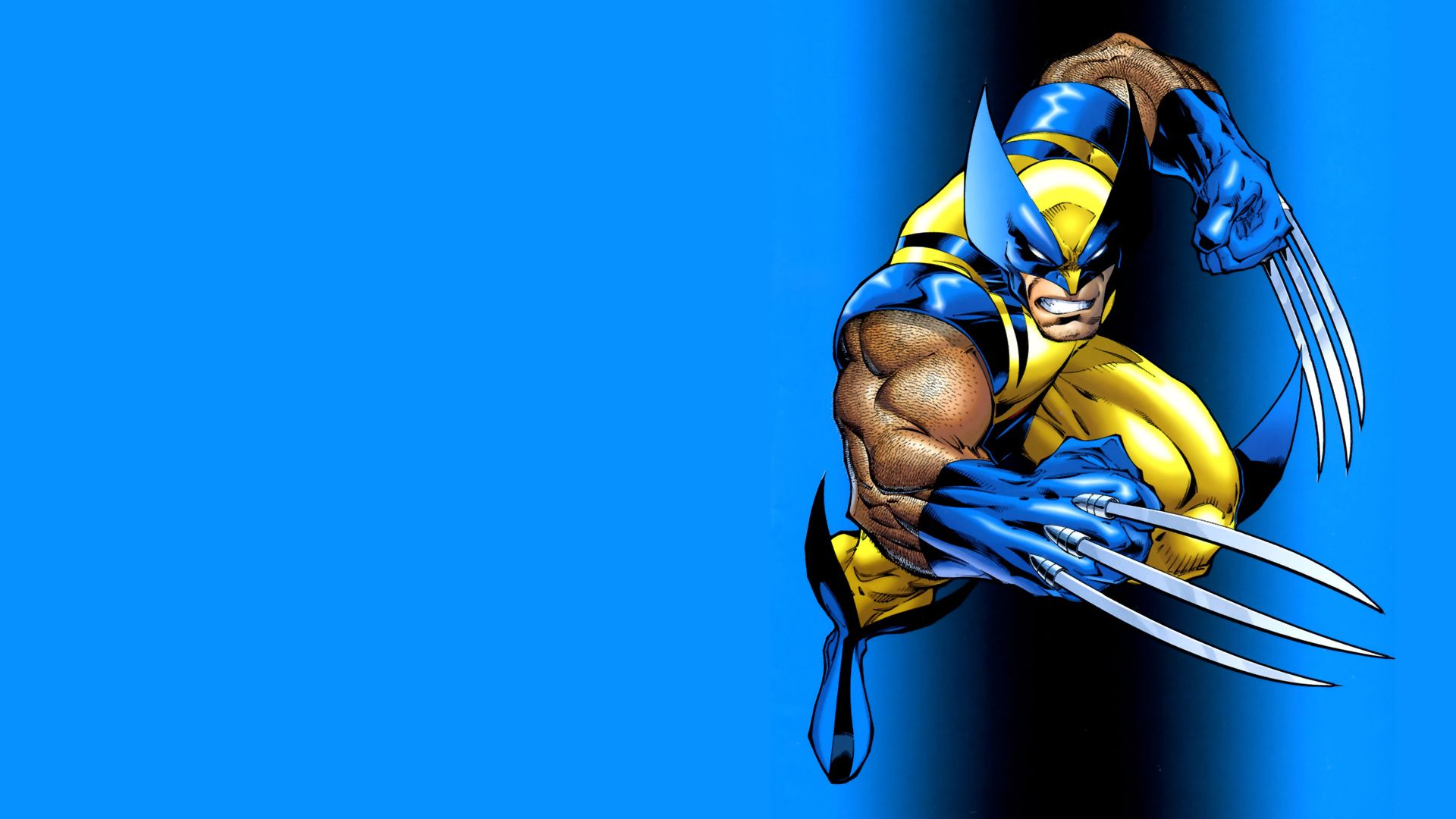 Wolverine Computer Wallpapers, Desktop Backgrounds | 1600x1200 ...
