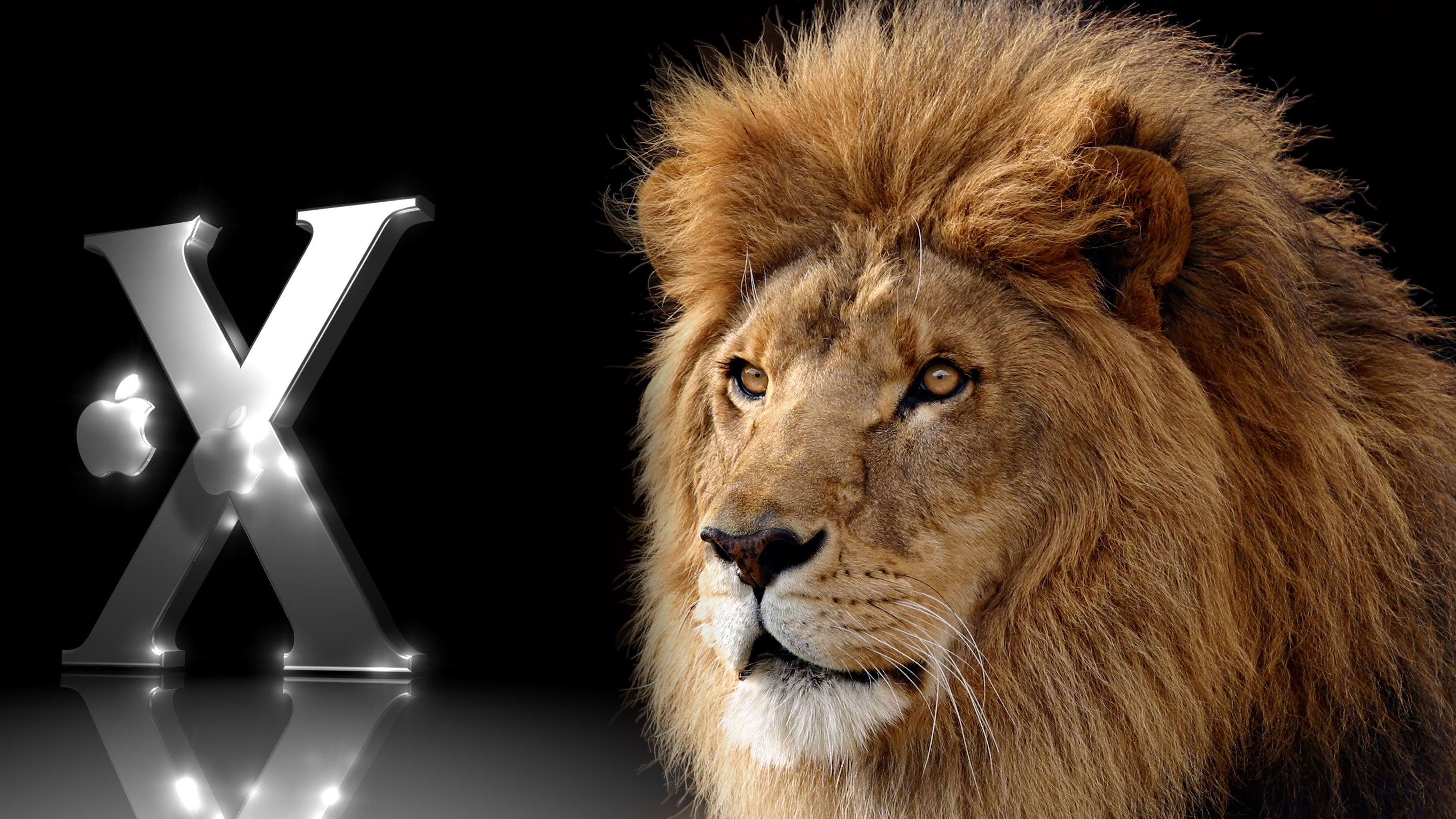 Apple's Lion Release of Mac OS X Desktop Wallpaper
