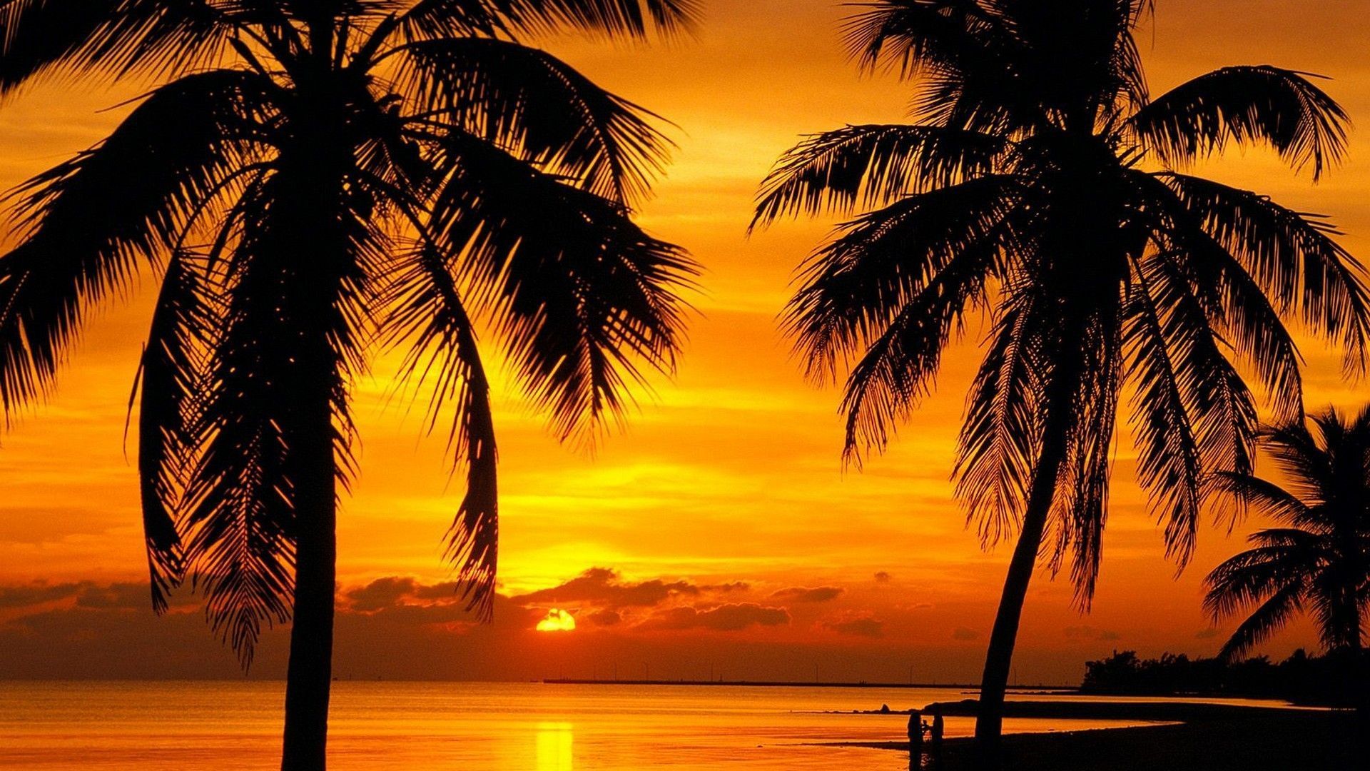 Key West Sunset wallpaper 246537