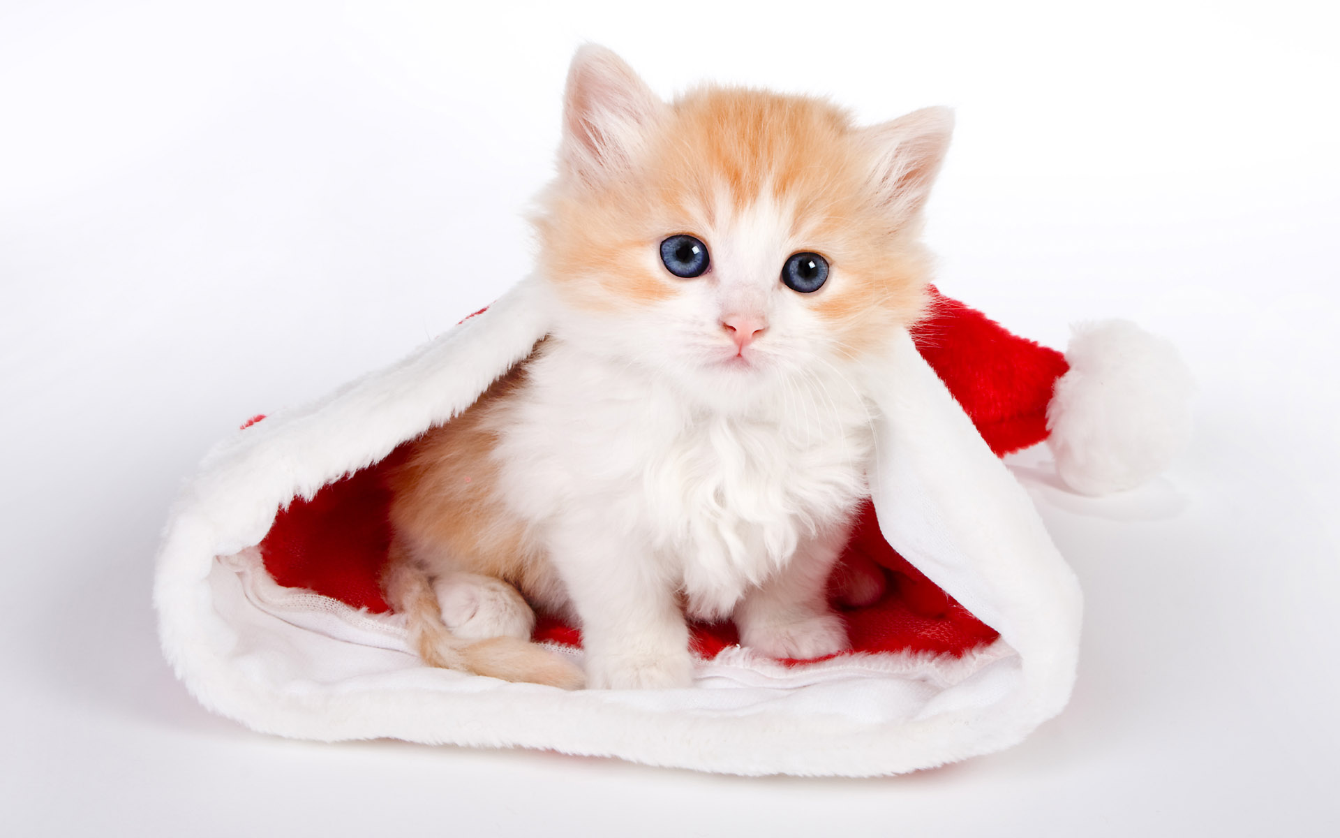 Cute Santa Windows 8.1 Theme and Wallpapers All for Windows 10 Free