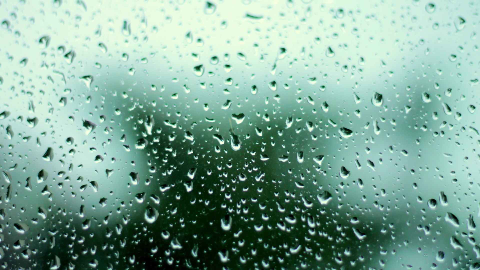 Full View and Download Blur Rain Drops Wallpaper