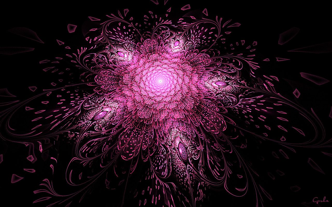 Bright Pink Fractal Flower wallpapers | Bright Pink Fractal Flower ...
