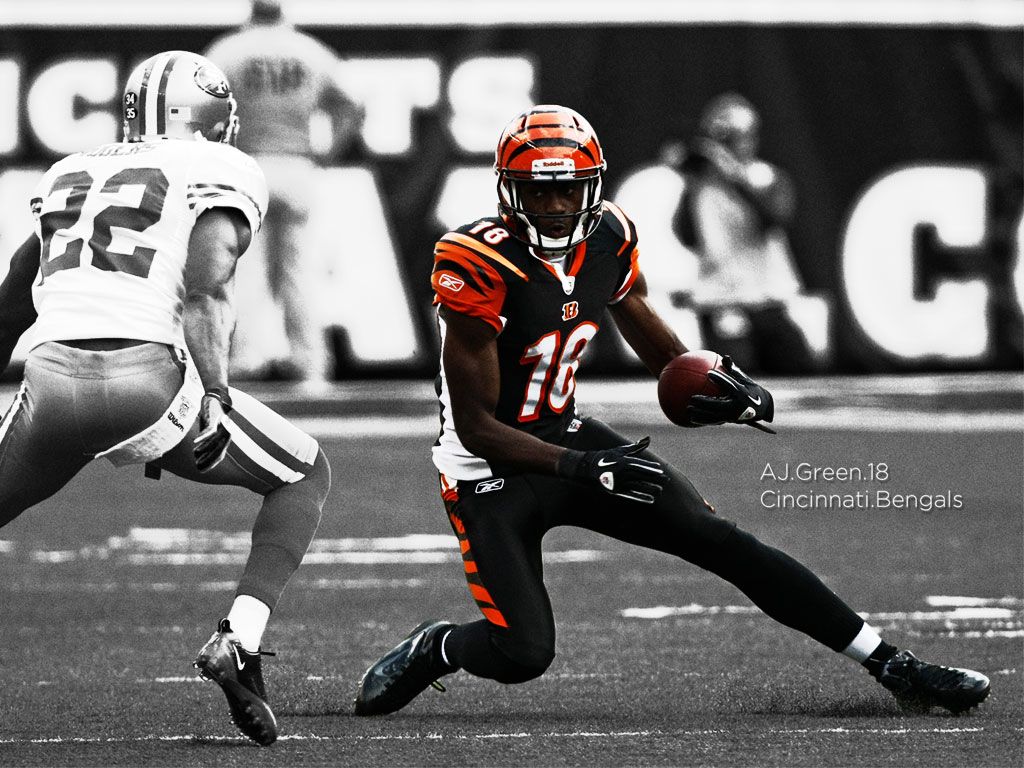 Featured image of post Bengals Desktop Wallpaper Hd wallpapers and background images