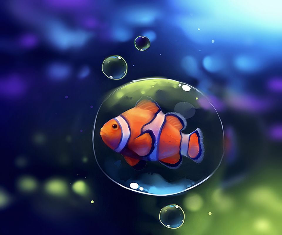 iPhone Clown Fish Wallpapers