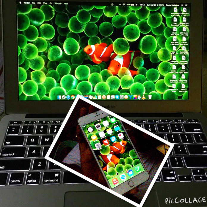The original “clown fish” Mac and iPhone wallpaper | techyummy