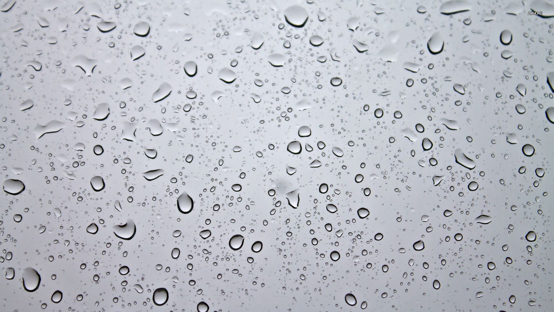 Droplets Wallpapers