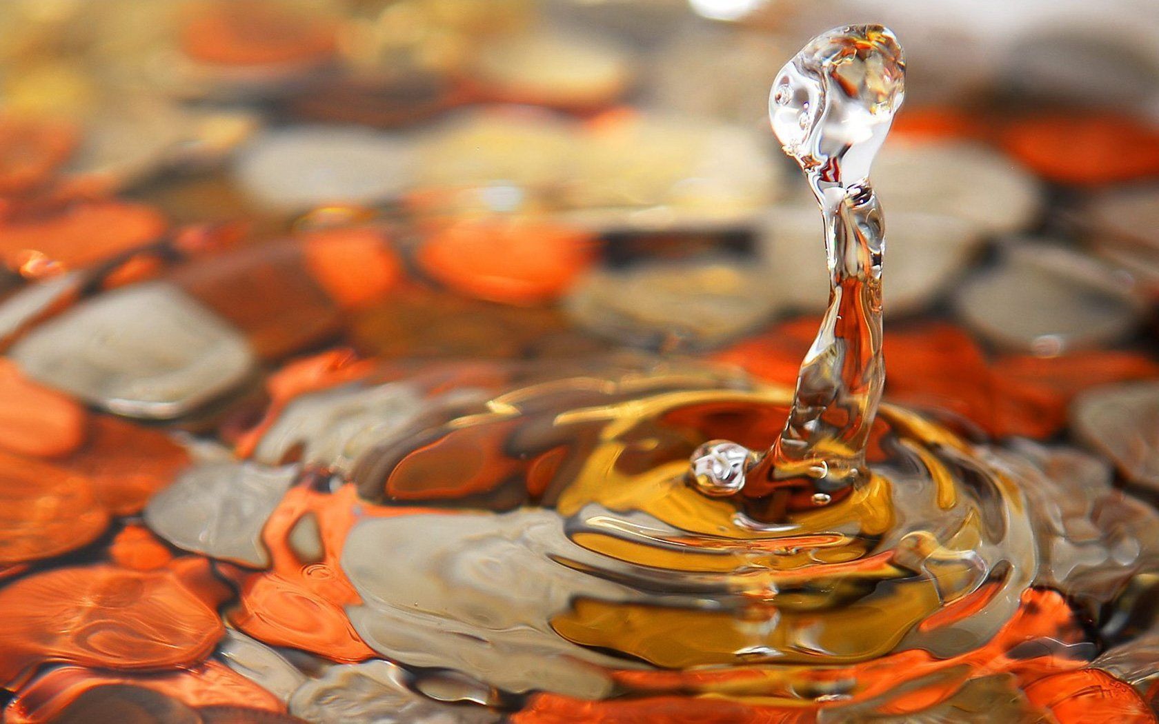Water Drops HD Wallpaper | Water Drops Images | Cool Wallpapers