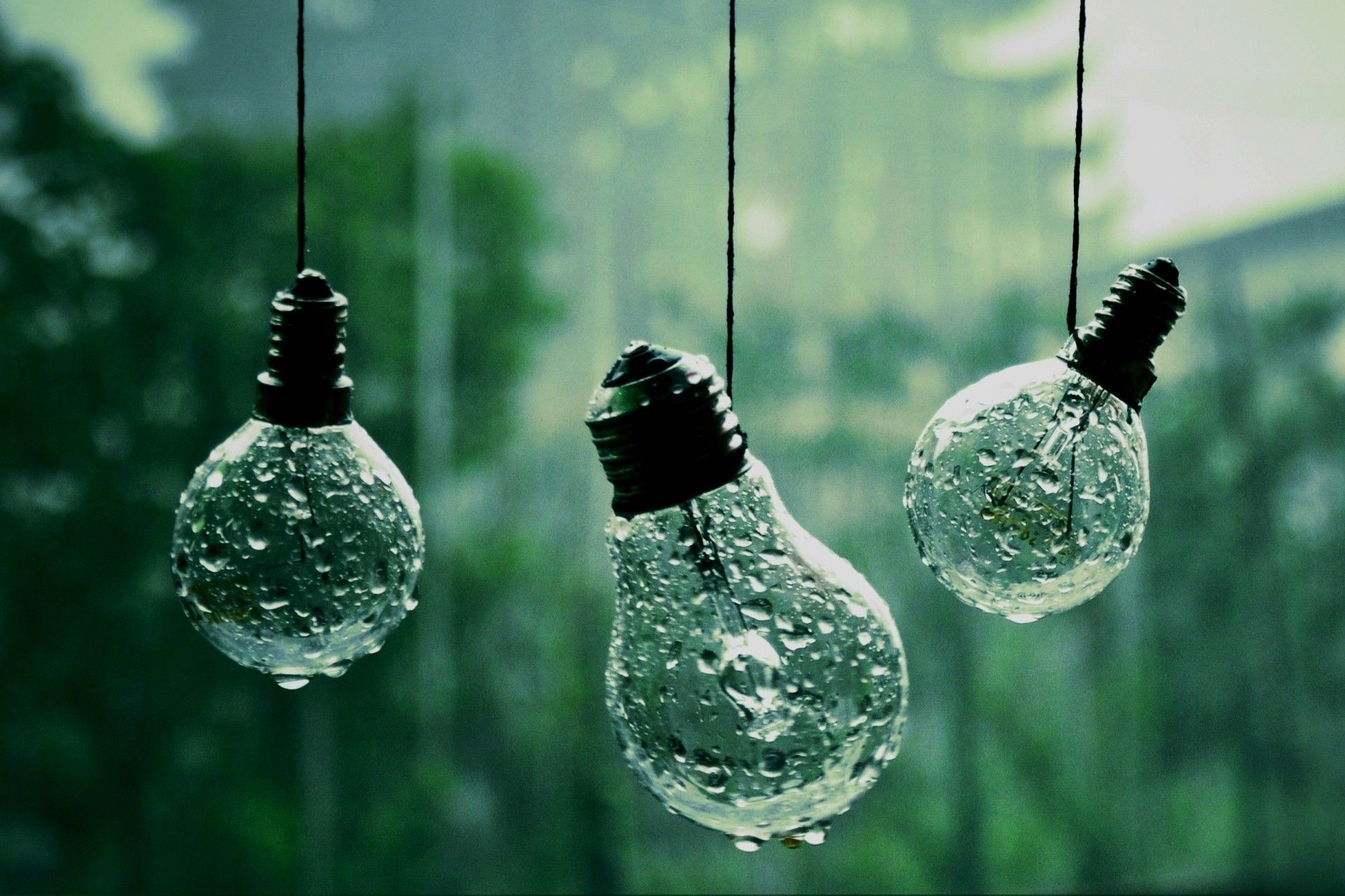 water droplets macro light bulbs depth of field #bHQo