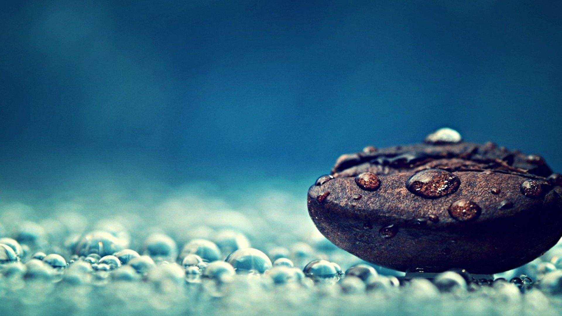 Water Droplets And Seed Macro Photography HD #521 Desktop Computer ...