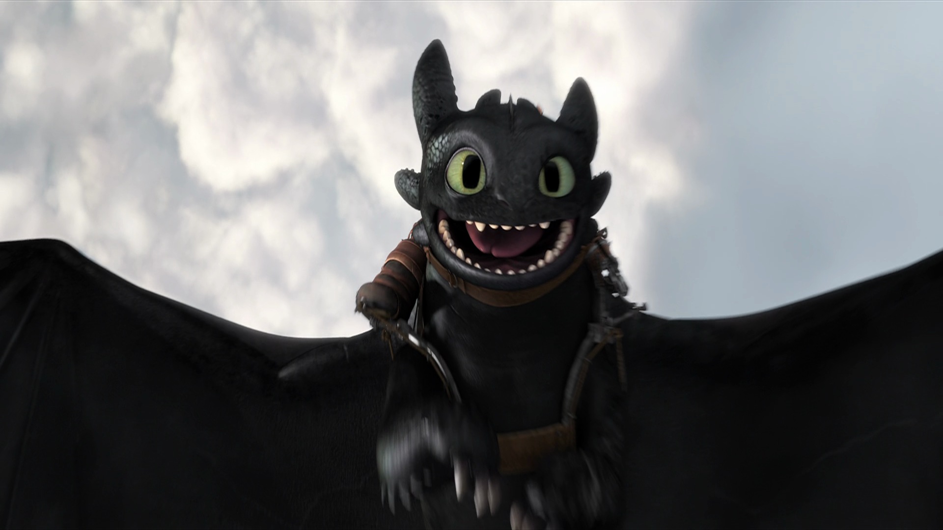 Toothless HD Backgrounds Download Wallpapers, Backgrounds