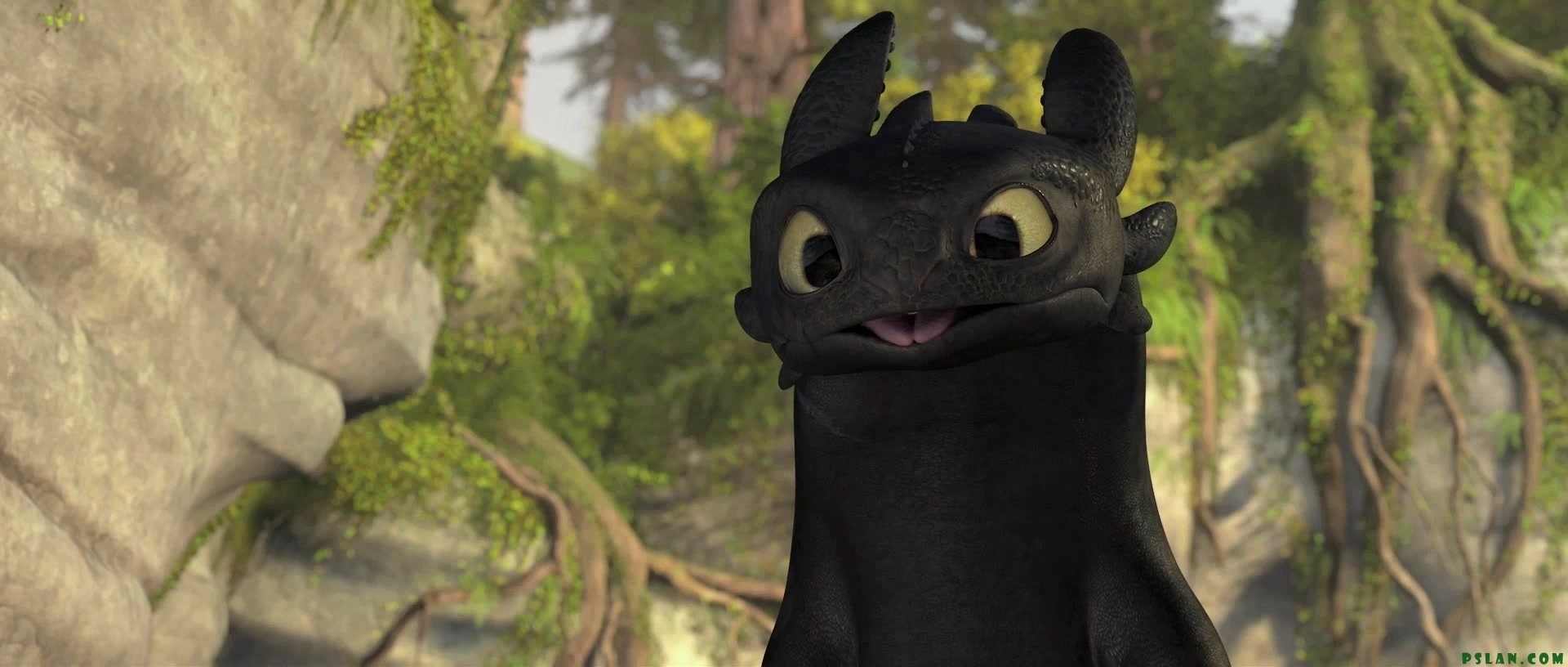 Toothless Pictures How To Train Your Dragon - Wallpaper HD Wide