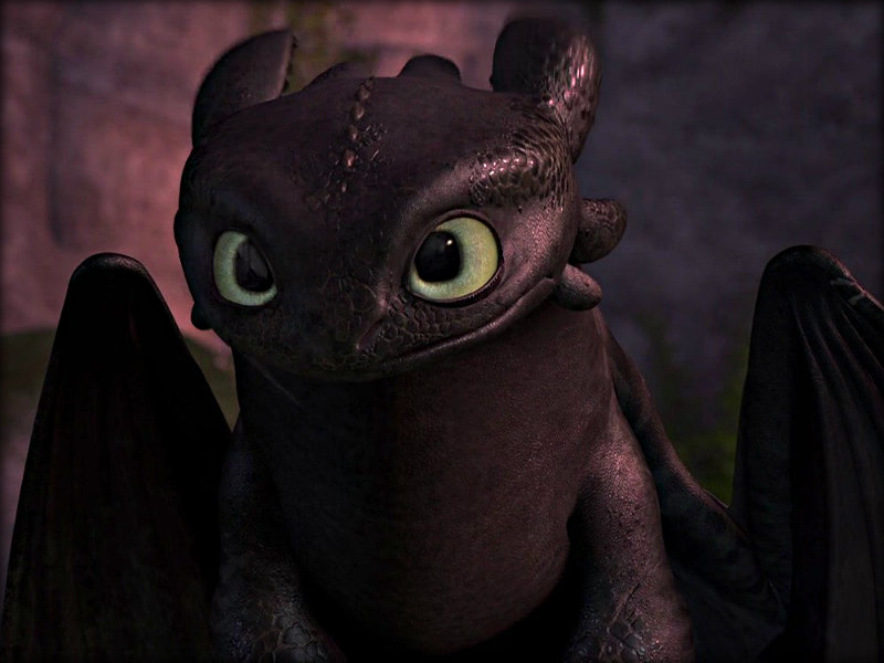 Toothless - Toothless the Dragon Wallpaper 32987035 - Fanpop