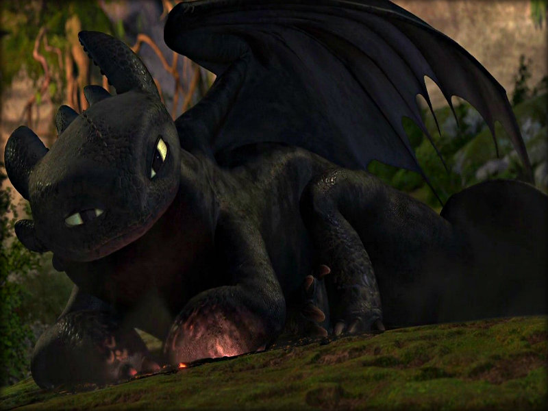 Toothless - Toothless the Dragon Wallpaper 32987039 - Fanpop