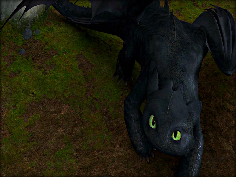 ★ Toothless ☆ - Toothless the Dragon Wallpaper (32987041) - Fanpop
