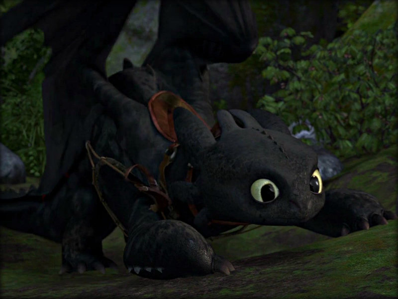 ★ Toothless ☆ - How to Train Your Dragon Wallpaper (32987223 ...