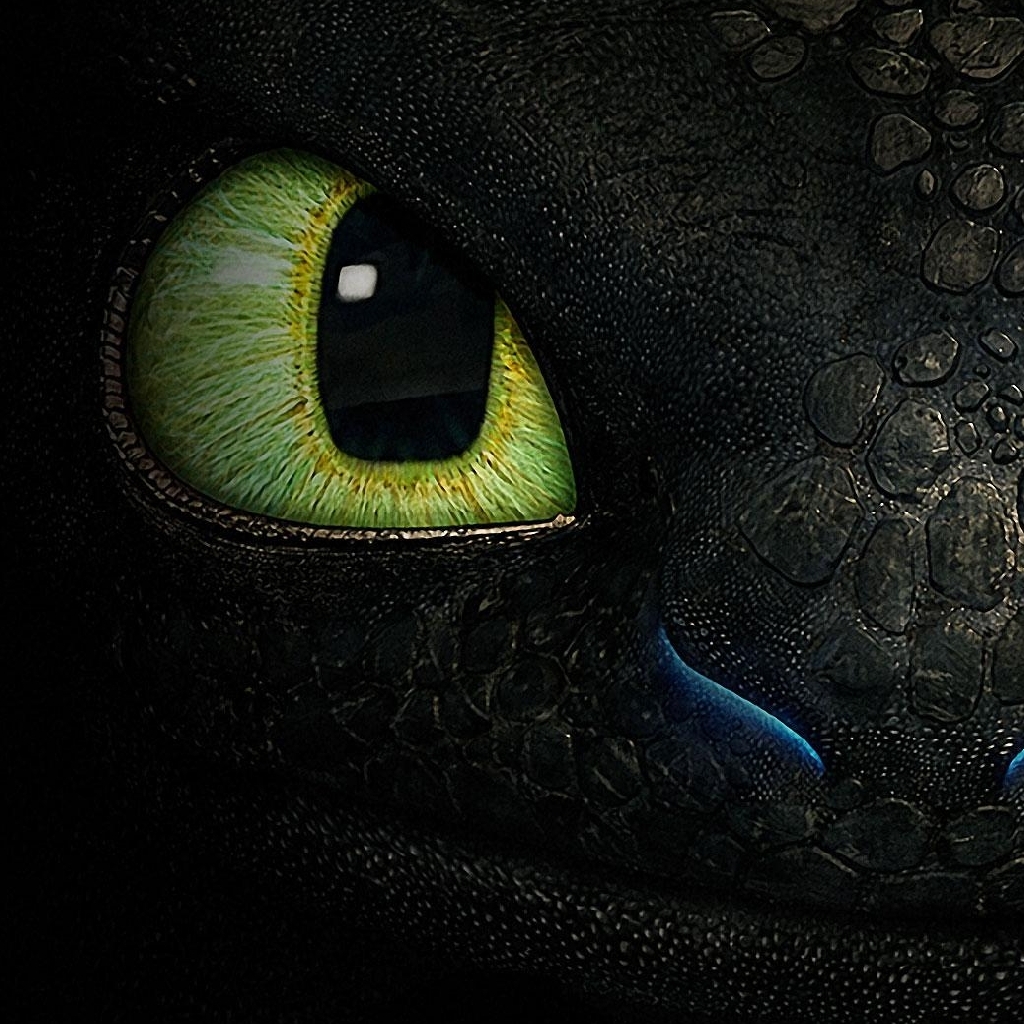 iPad Wallpaper How to train your dragon Toothless - My HD Wallpapers