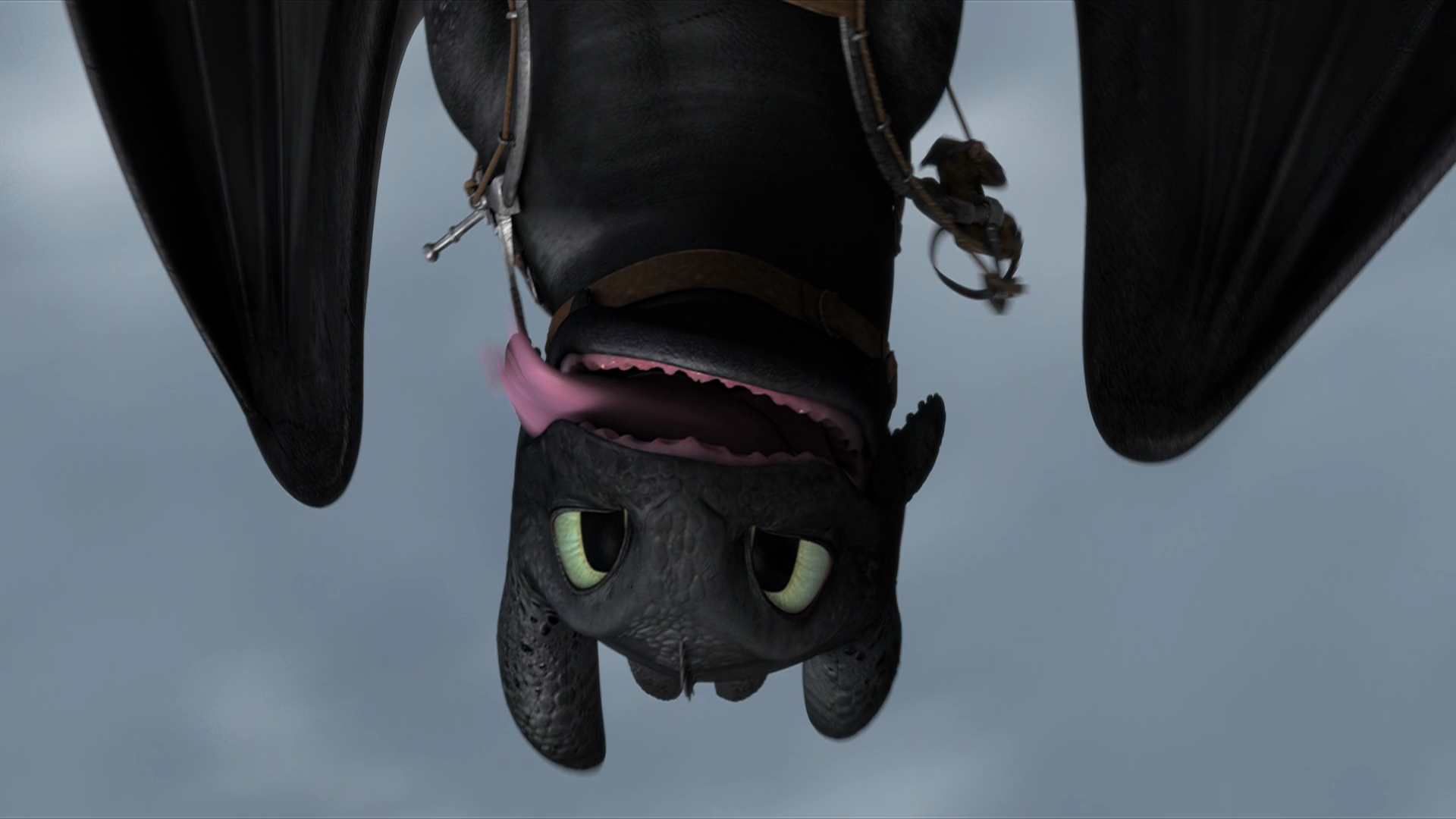 How To Train Your Dragon 2 Computer Wallpapers, Desktop ...