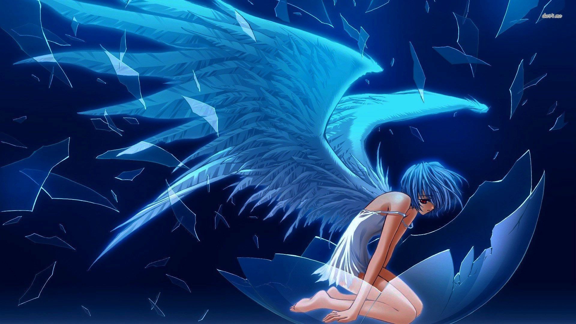 Blue Angel wallpaper - Anime wallpapers -