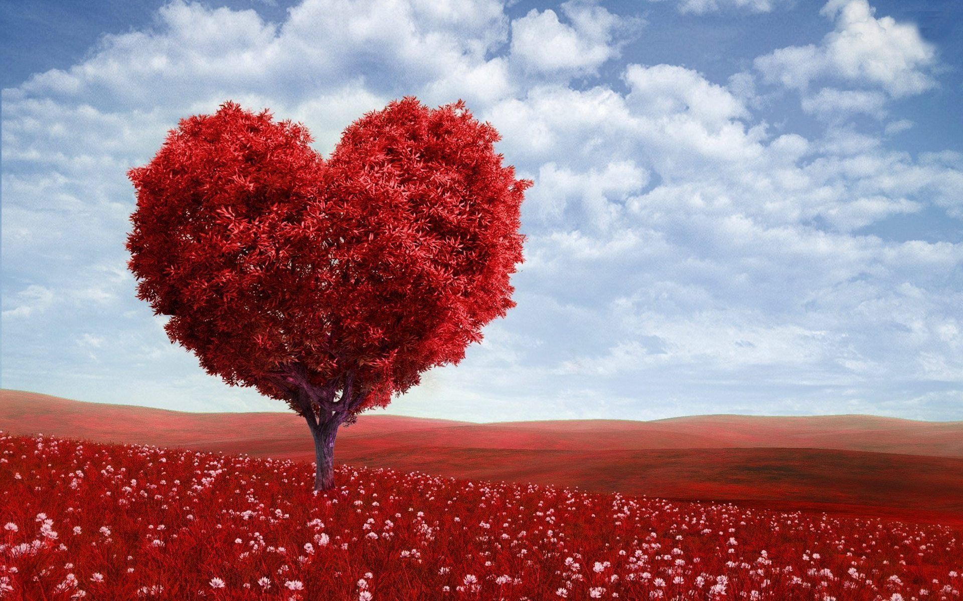 Valentine-Love-Tree-Computer-Desktop-Wallpaper.jpg