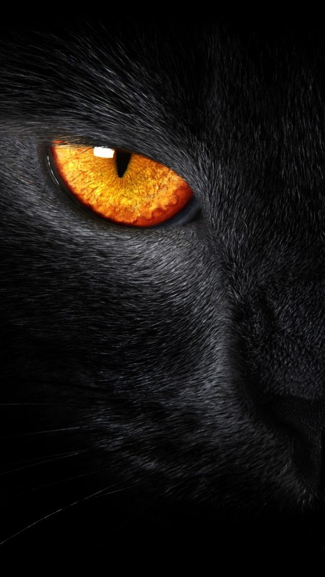 Black panther iPhone 5 Wallpaper 640x1136