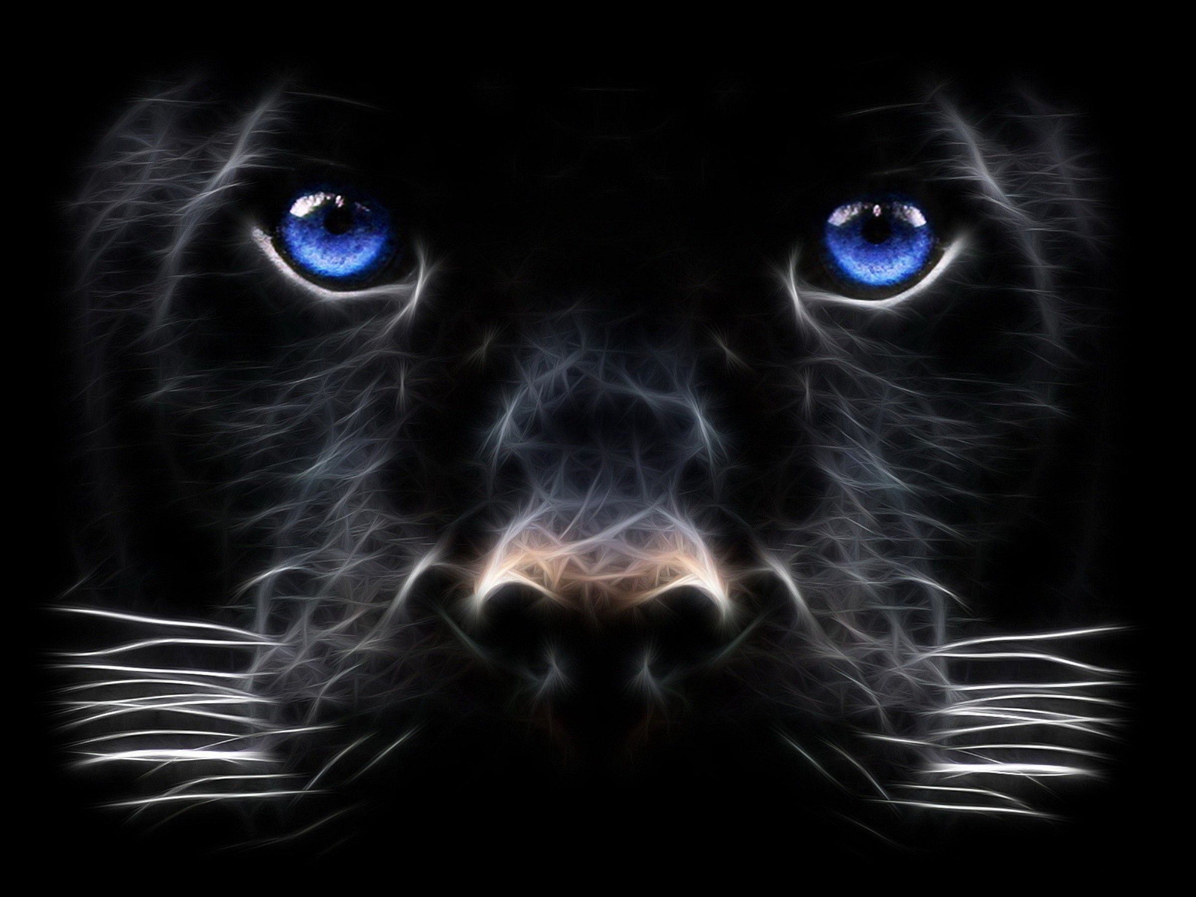 panther Computer Wallpapers, Desktop Backgrounds | 2400x1800 | ID ...