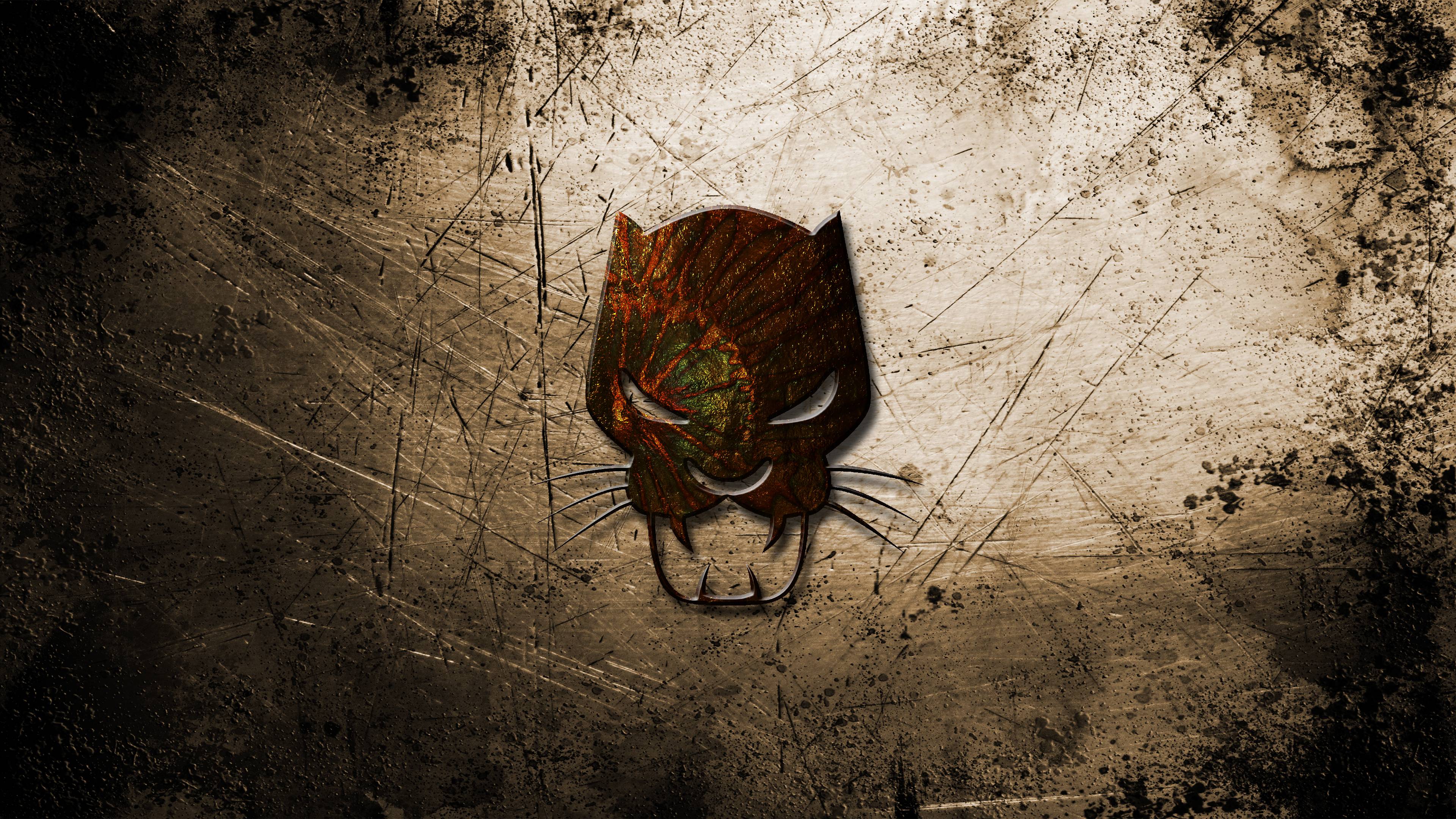 Black Panther Computer Wallpapers, Desktop Backgrounds | 3840x2160 ...