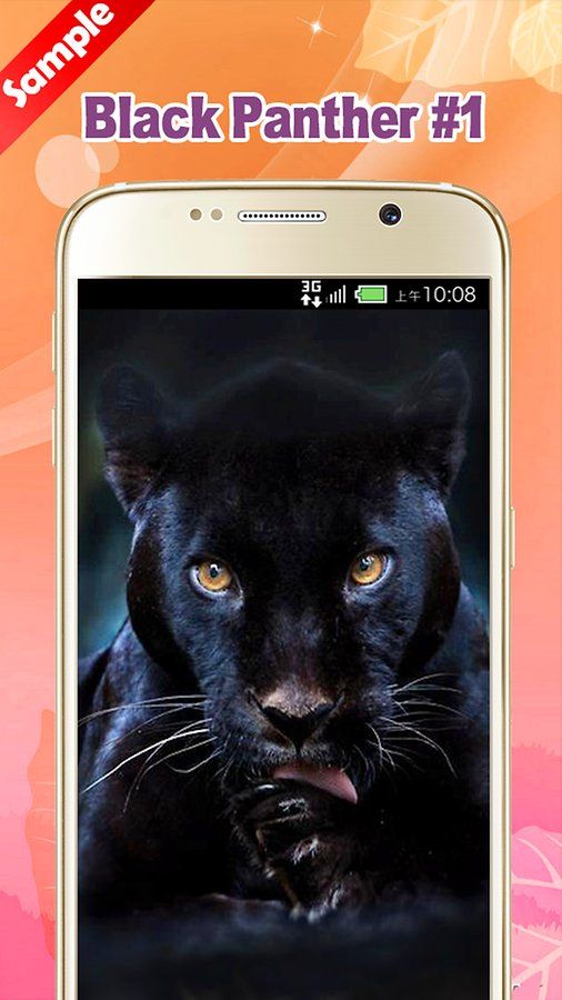 Cool Black Panther Wallpaper - Android Apps and Tests - AndroidPIT