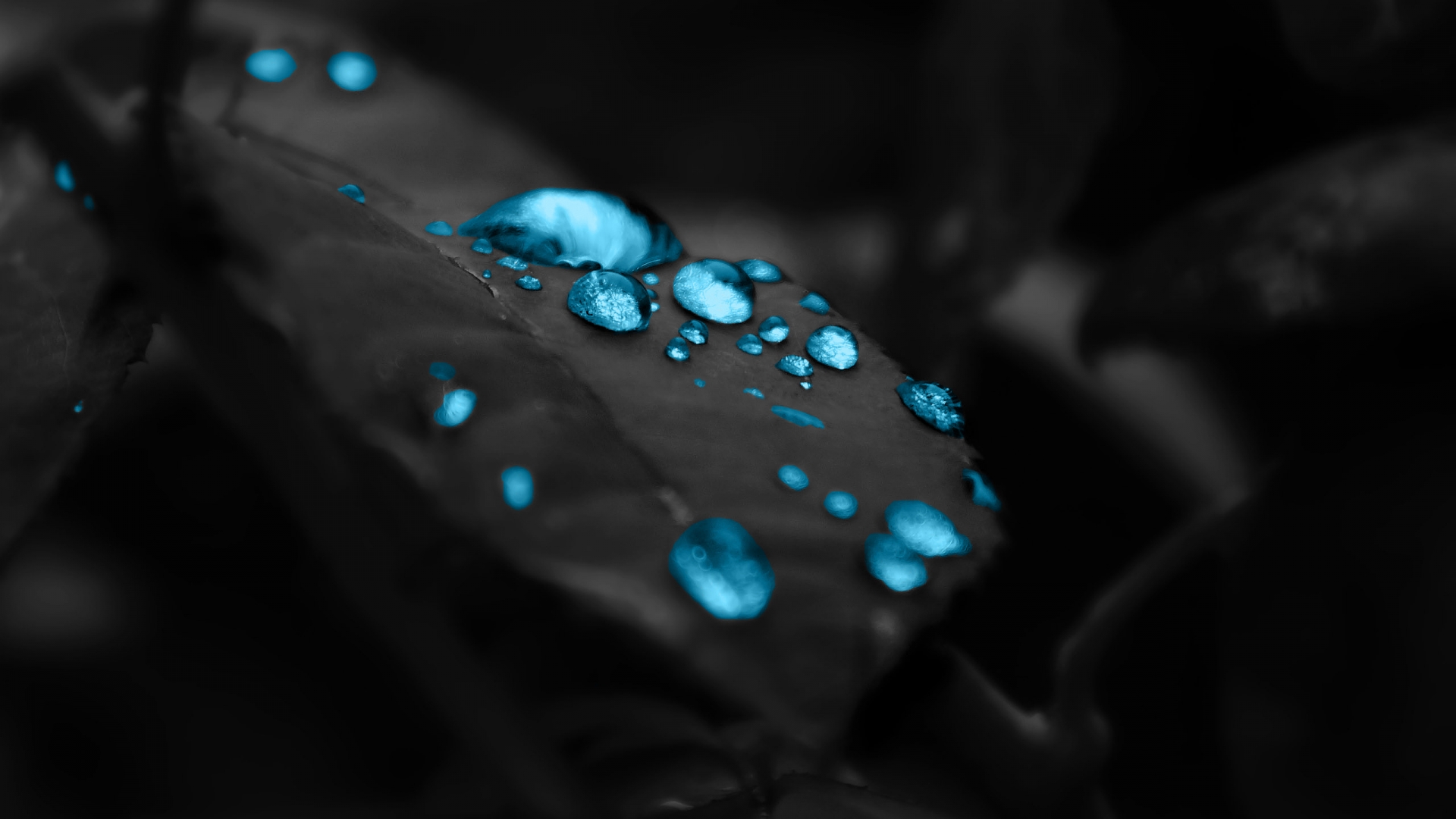 536 Water Drop HD Wallpapers Backgrounds - Wallpaper Abyss