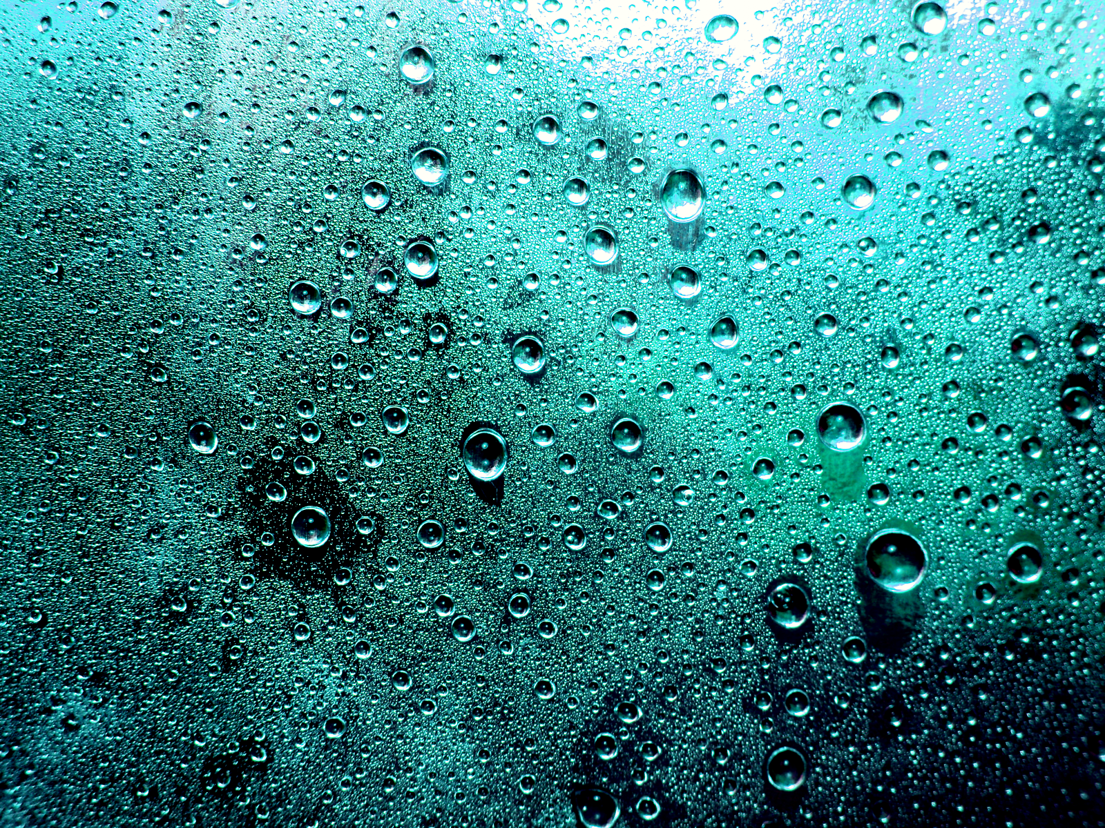 Water Droplets Wallpapers - Wallpaper Zone