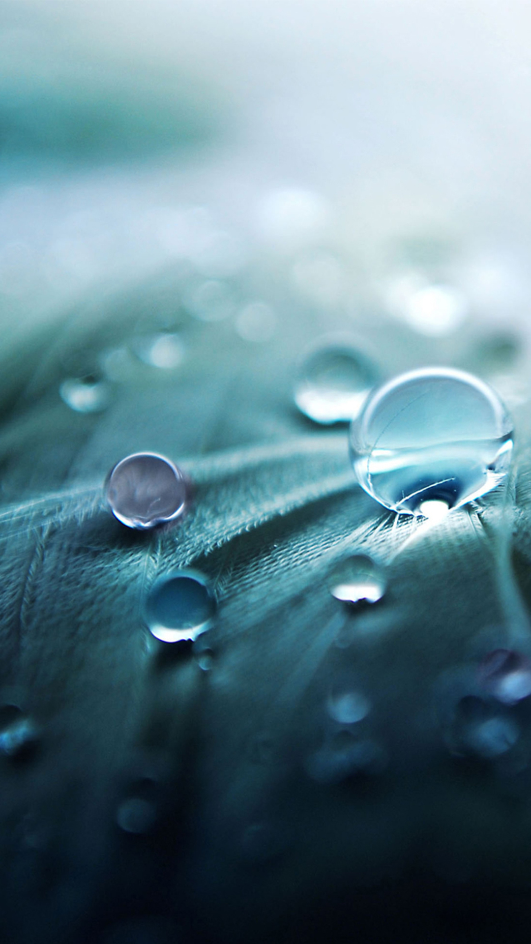 Droplet iPhone 6 Wallpapers iPhone Wallpapers, iPad wallpapers