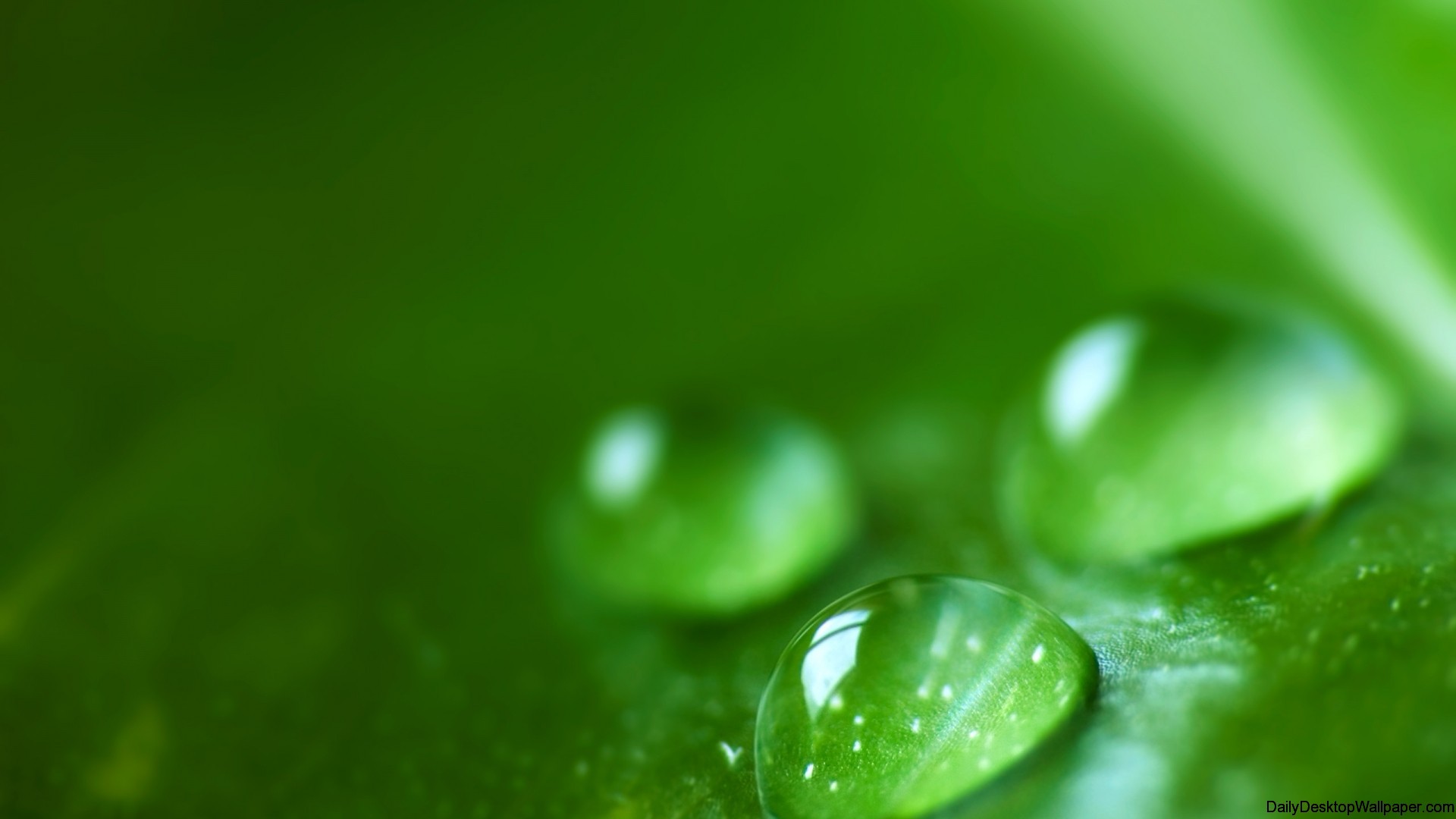 Up Close Water Droplet wallpaper - HD Wallpapers
