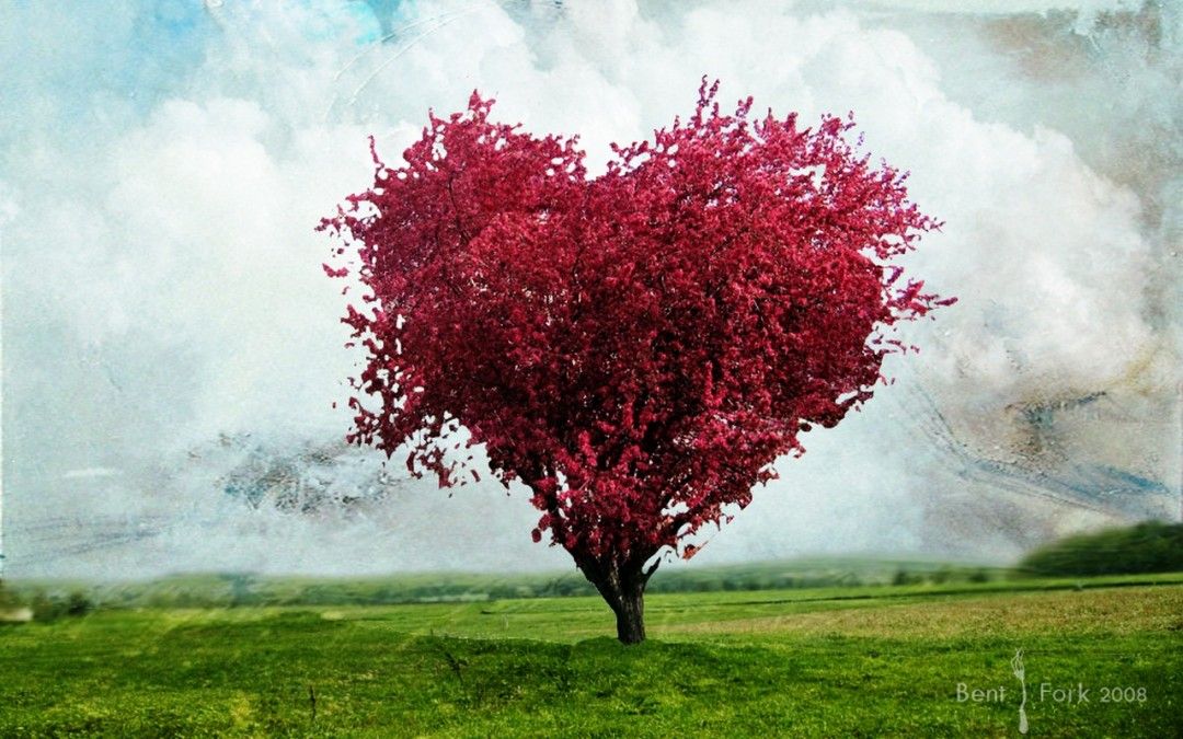 1080x675px Wallpaper Hd Love Red Tree | #513893