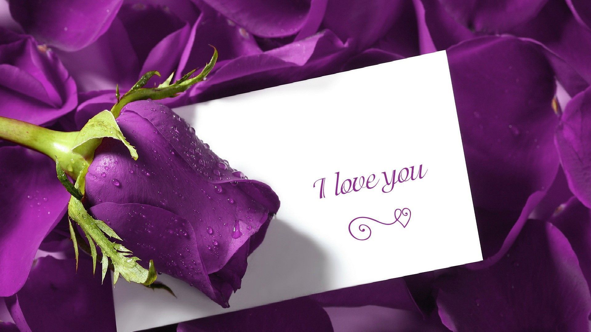 I Love You HD Wallpapers HD Images pictures Quotes Photos Cover ...