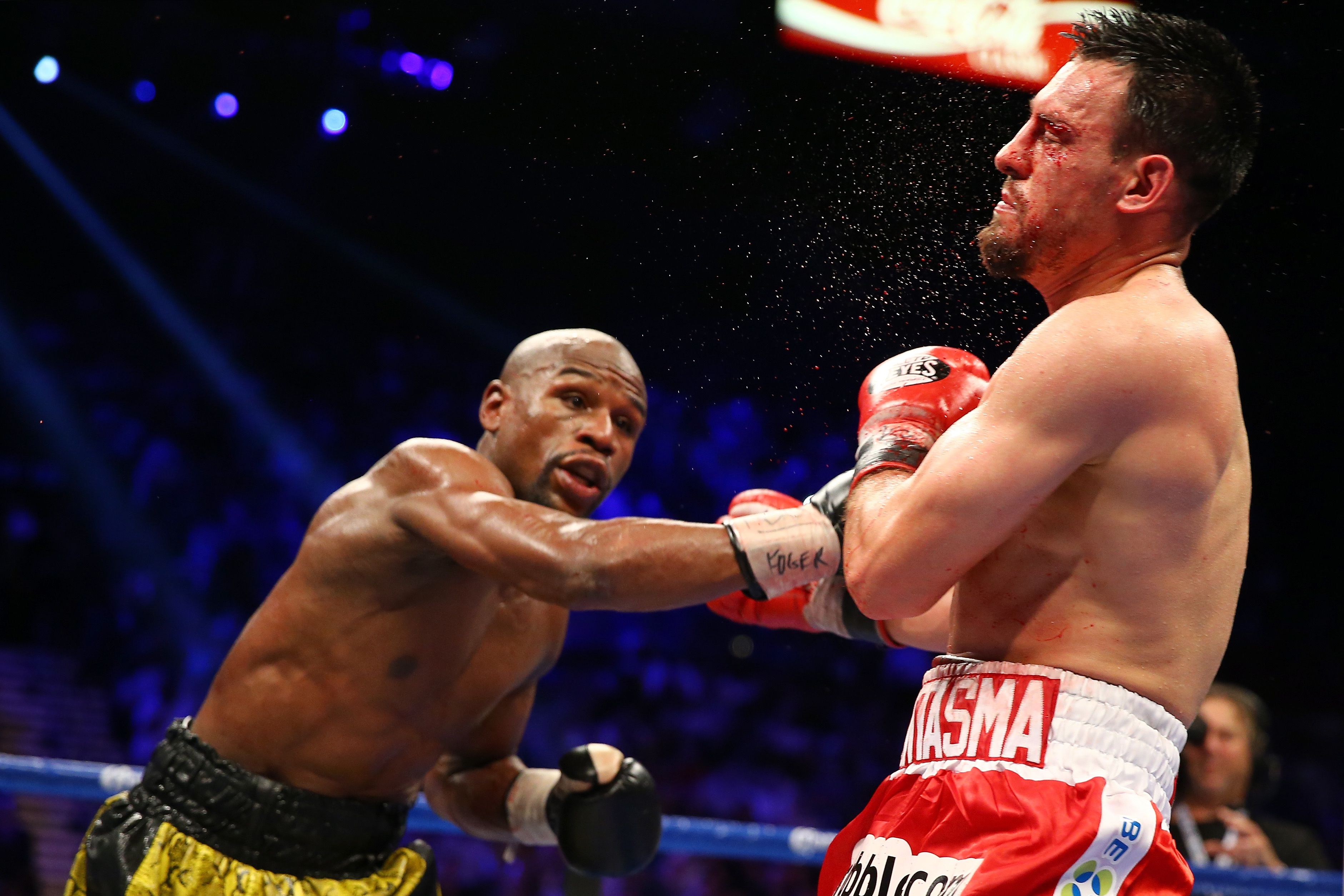 Floyd Mayweather Jr in the ring wallpapers and images - wallpapers