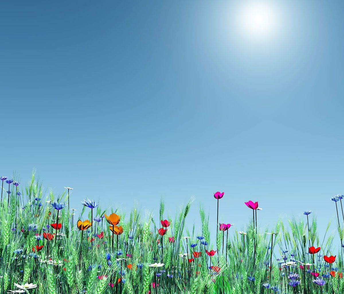 Flower Background for Android Tablets 08 | Tablet Wallpapers ...