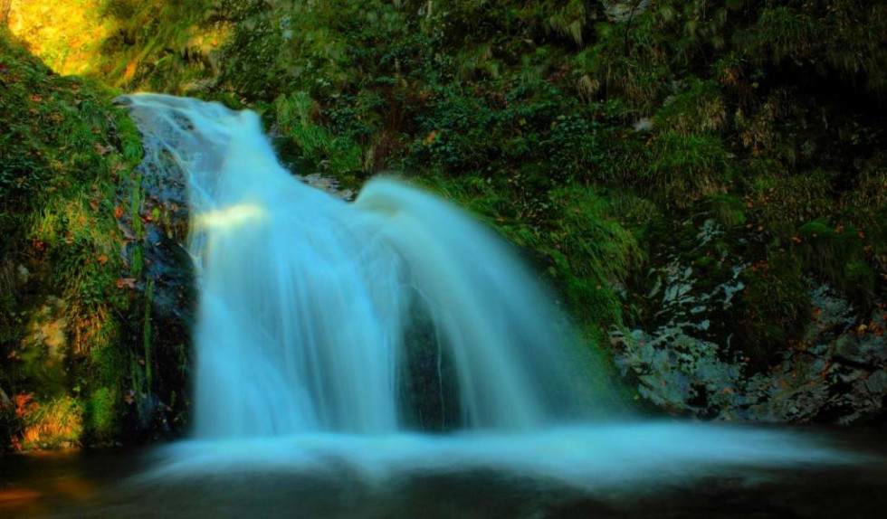 beautiful waterfalls free wallpaper forest falls 980×574 ...