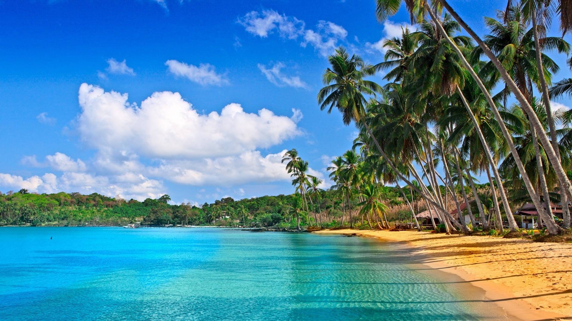 Barbados the Party Island & White Sand Beach Paradise - TravelTats
