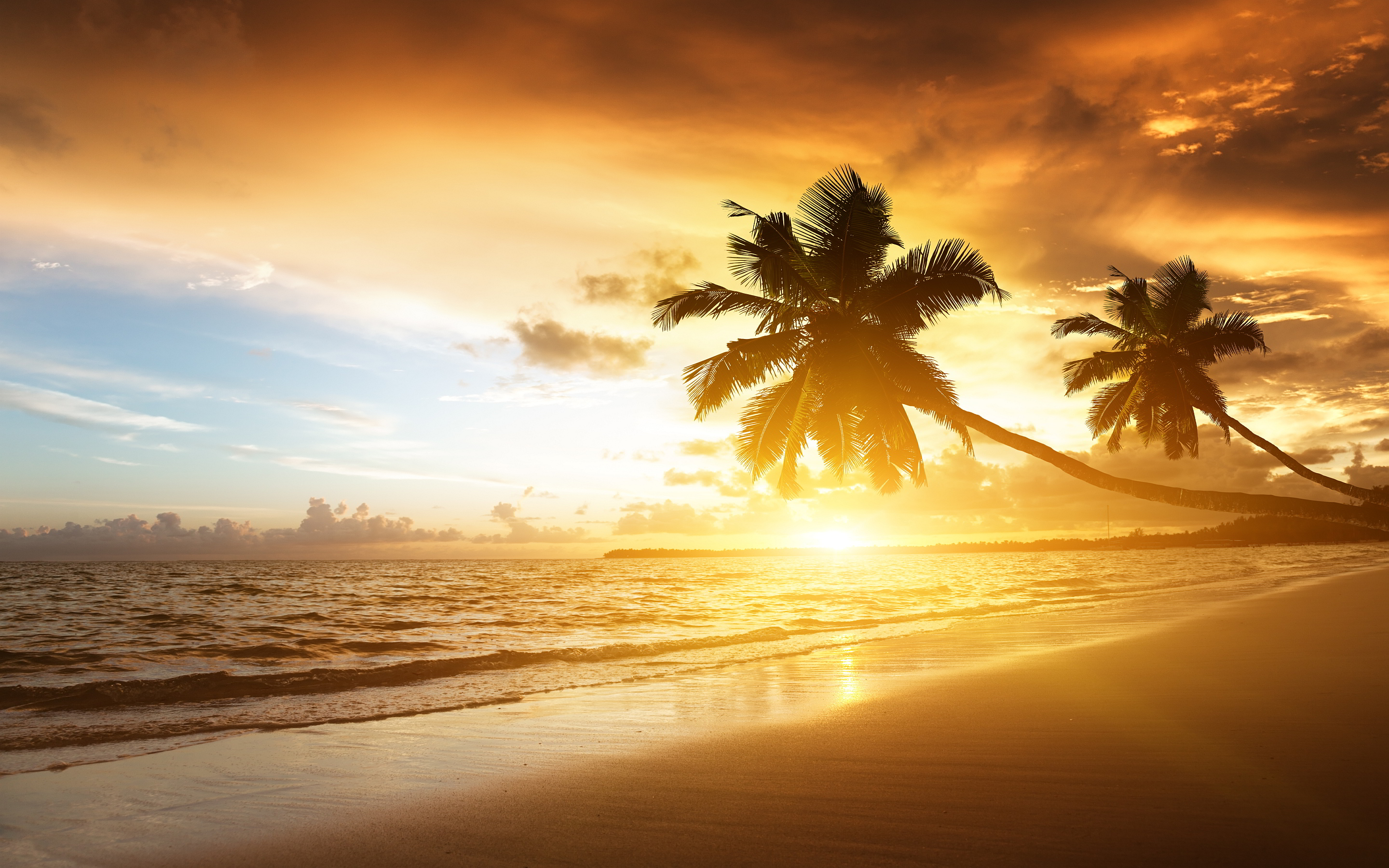 Caribbean Beach Sunrise - Bing images