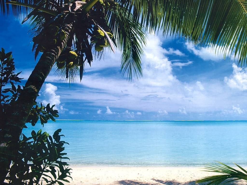 Caribbean Scenery | Best Wallpaper Background
