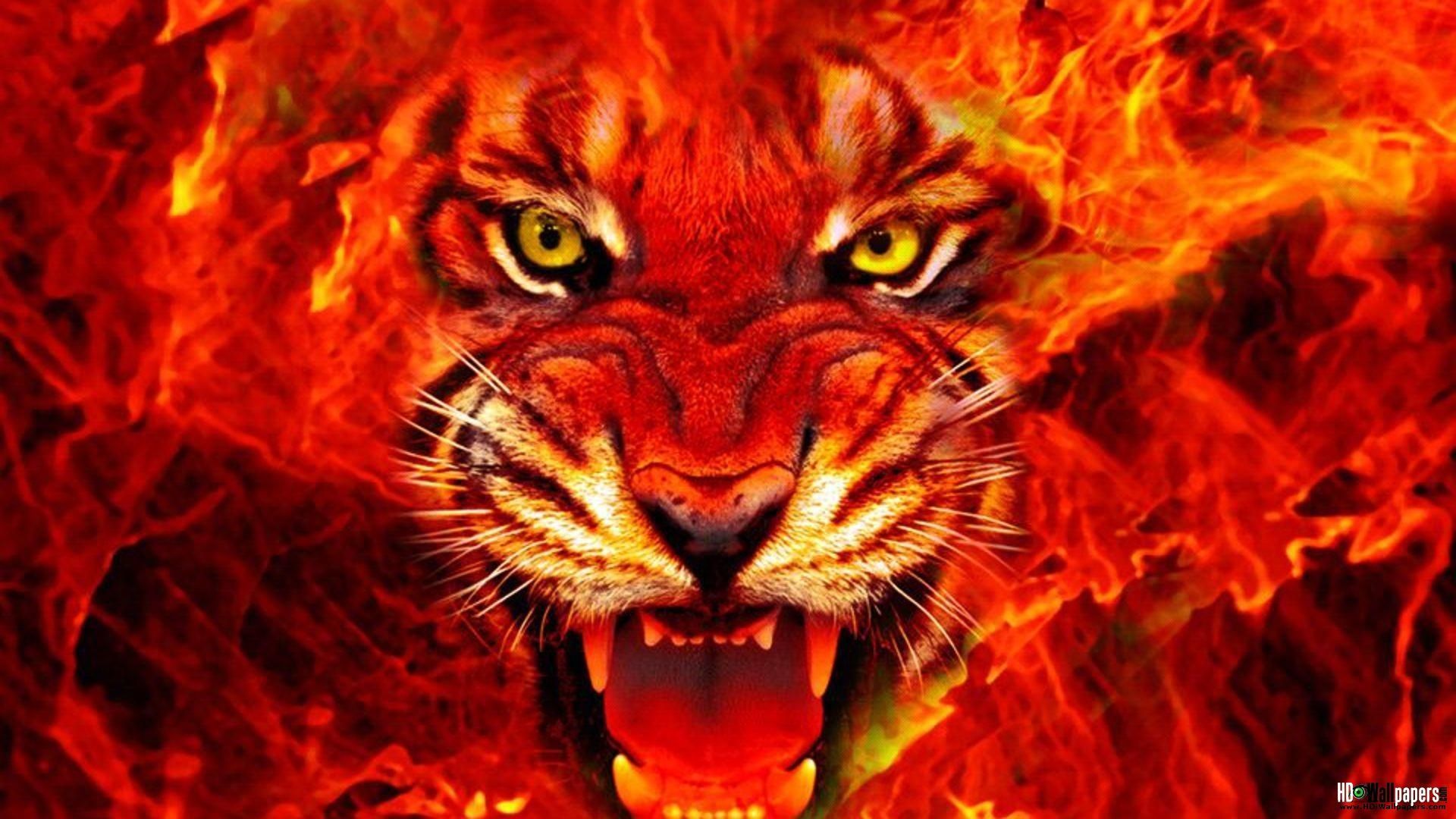Fire Tiger Live Wallpaper for Samsung & iPhone | HD Wallpapers ...
