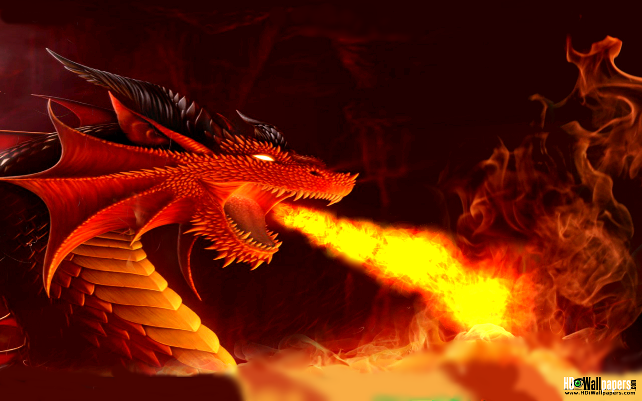 Dragon Vs Eagle Live Wallpaper  2560x1440  Rare Gallery HD Live  Wallpapers