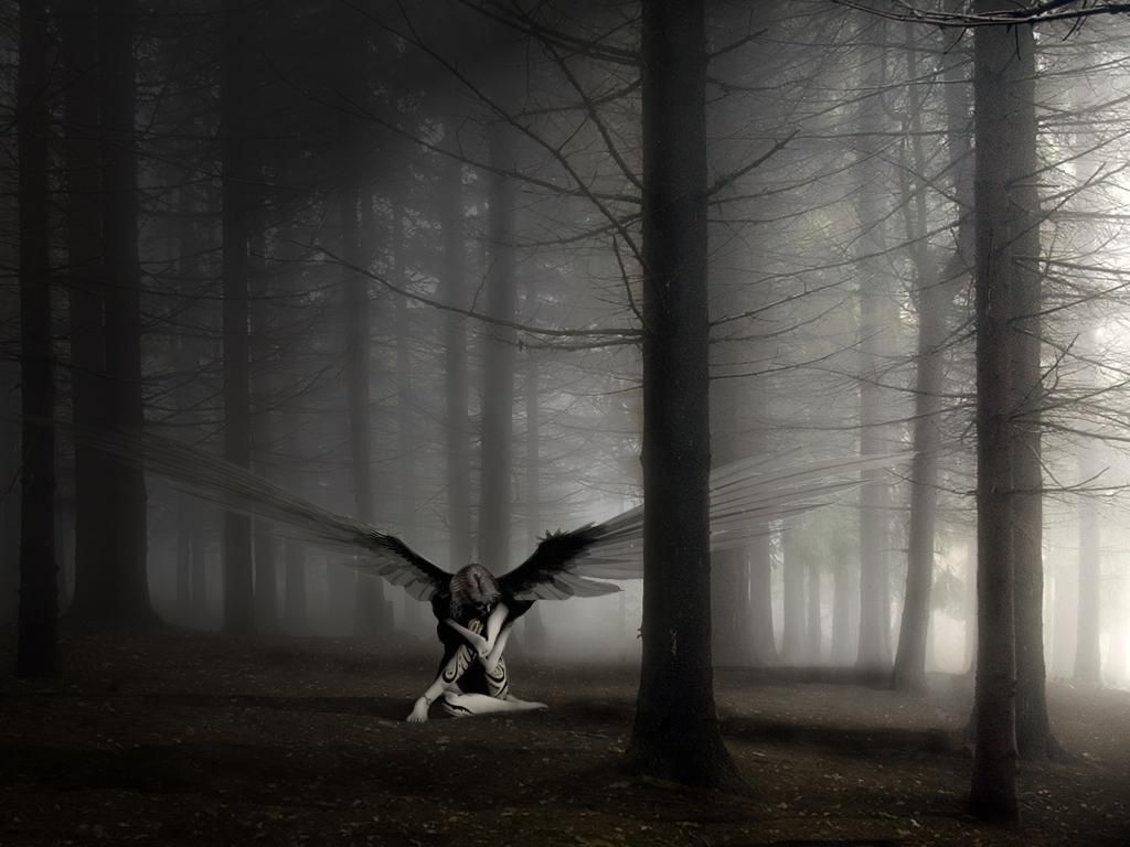 Dark Wings In The Forest Tablet Phone Wallpaper Background - Album ...